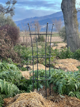 Load image into Gallery viewer, Tall Peony Plant Support
