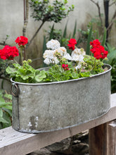 Load image into Gallery viewer, Large Oval Iron Tub Planter
