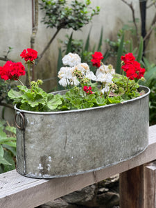 Large Oval Iron Tub Planter