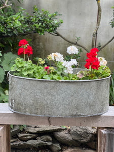 Large Oval Iron Tub Planter