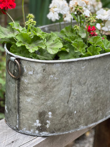 Large Oval Iron Tub Planter