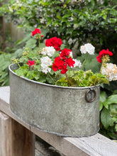 Load image into Gallery viewer, Large Oval Iron Tub Planter
