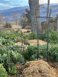 Tall Peony Plant Support