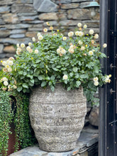 Load image into Gallery viewer, Large Glazed Earthenware Urn
