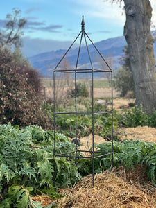 Square Obelisk Plant Support