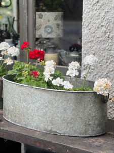 Large Oval Iron Tub Planter