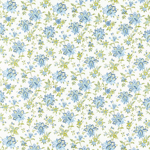 Ornella Denim Oilcloth