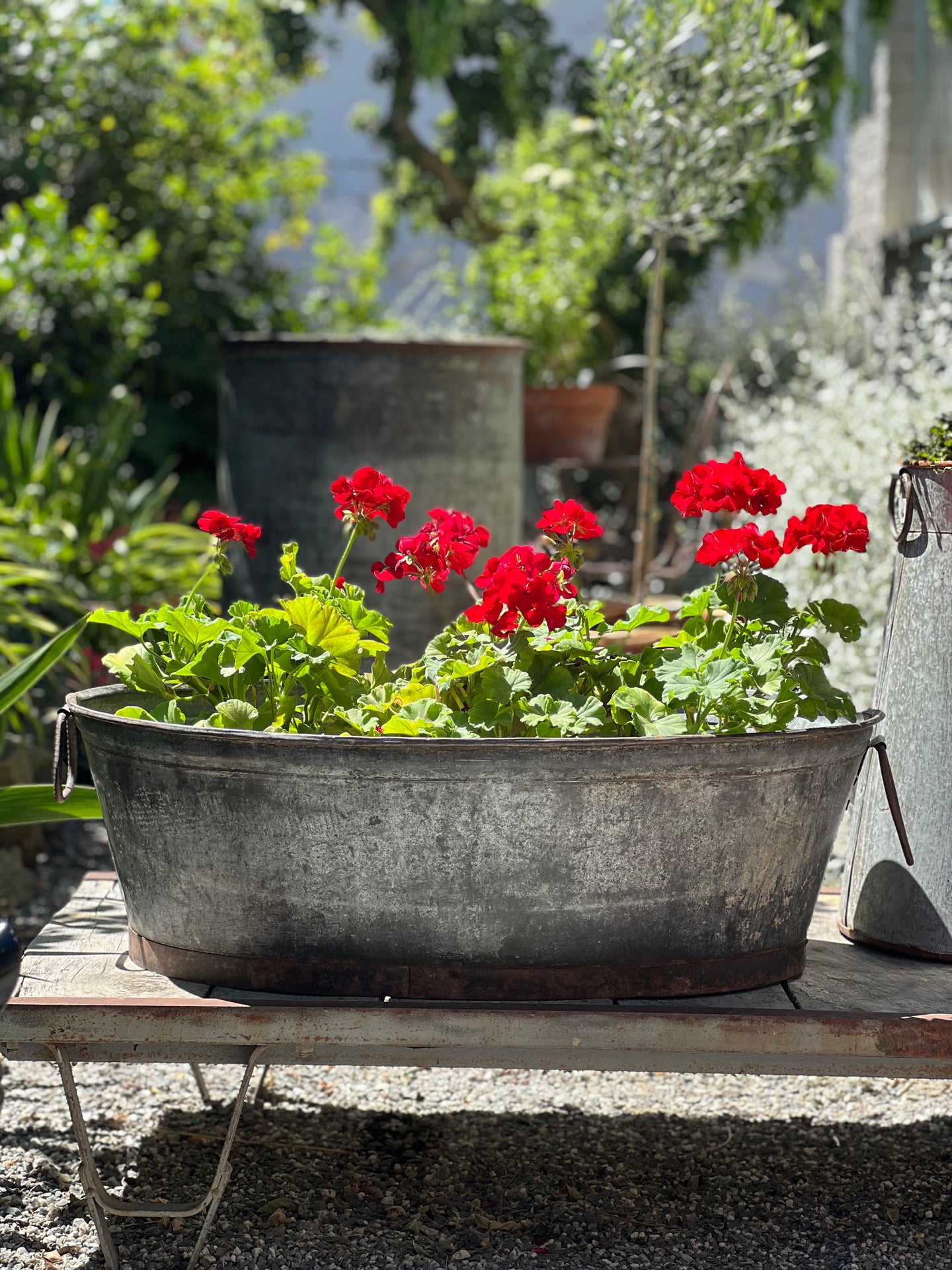 Iron Oval Tub Planter