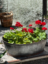 Load image into Gallery viewer, Iron Oval Tub Planter
