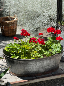 Iron Oval Tub Planter