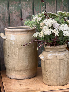 Large Lichen Terracotta Urn