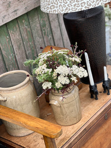 Large Lichen Terracotta Urn