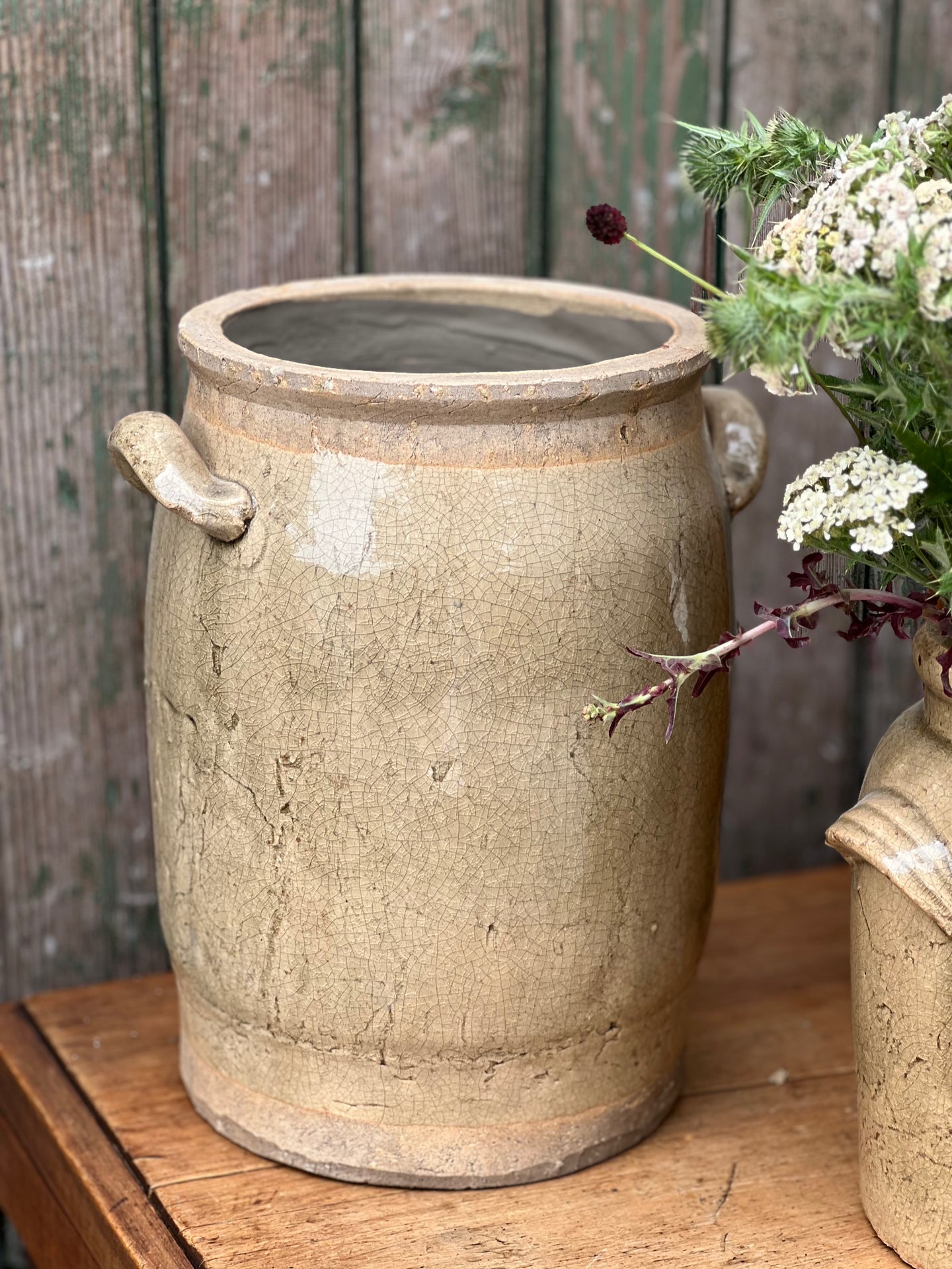 Large Lichen Terracotta Urn