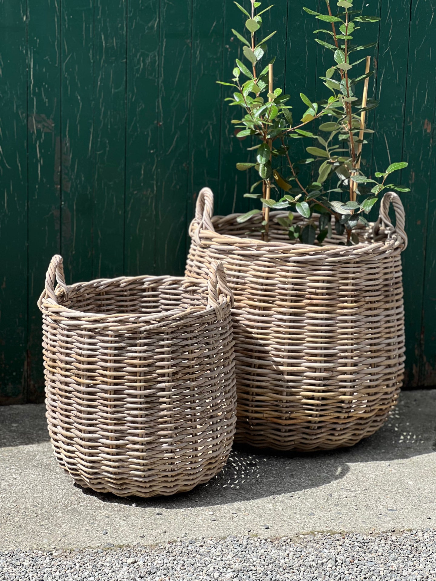 Medium Round Bottom Basket