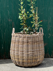 Large Round Bottom Basket