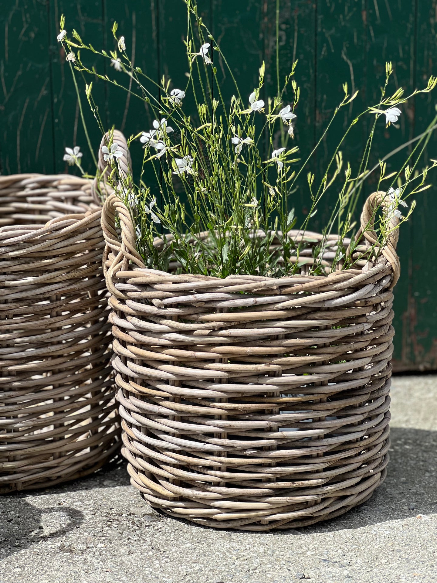 Medium Round Basket