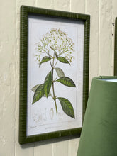 Load image into Gallery viewer, Emerald Rattan Framed Botanical Print
