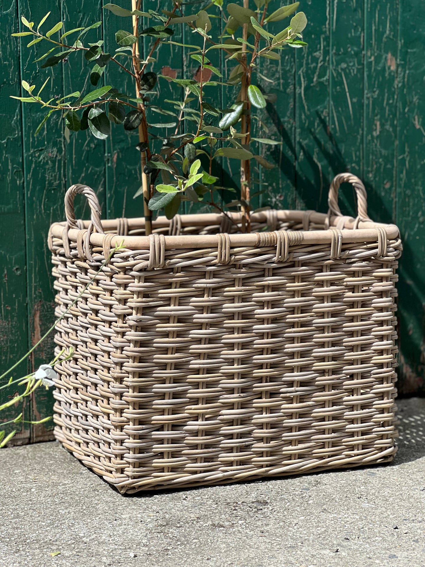 Large Rectangle Wooden Top Basket