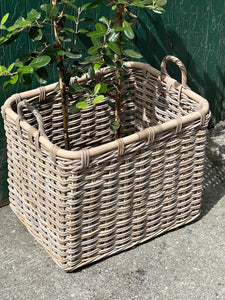 Large Rectangle Wooden Top Basket