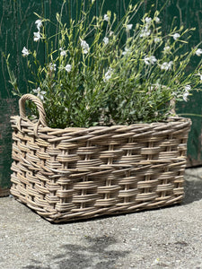 Small Rectangle Large Weave Basket