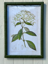 Load image into Gallery viewer, Emerald Rattan Framed Botanical Print
