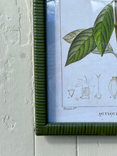 Load image into Gallery viewer, Emerald Rattan Framed Botanical Print
