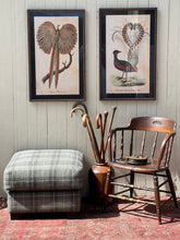 Load image into Gallery viewer, Framed Pheasant Print
