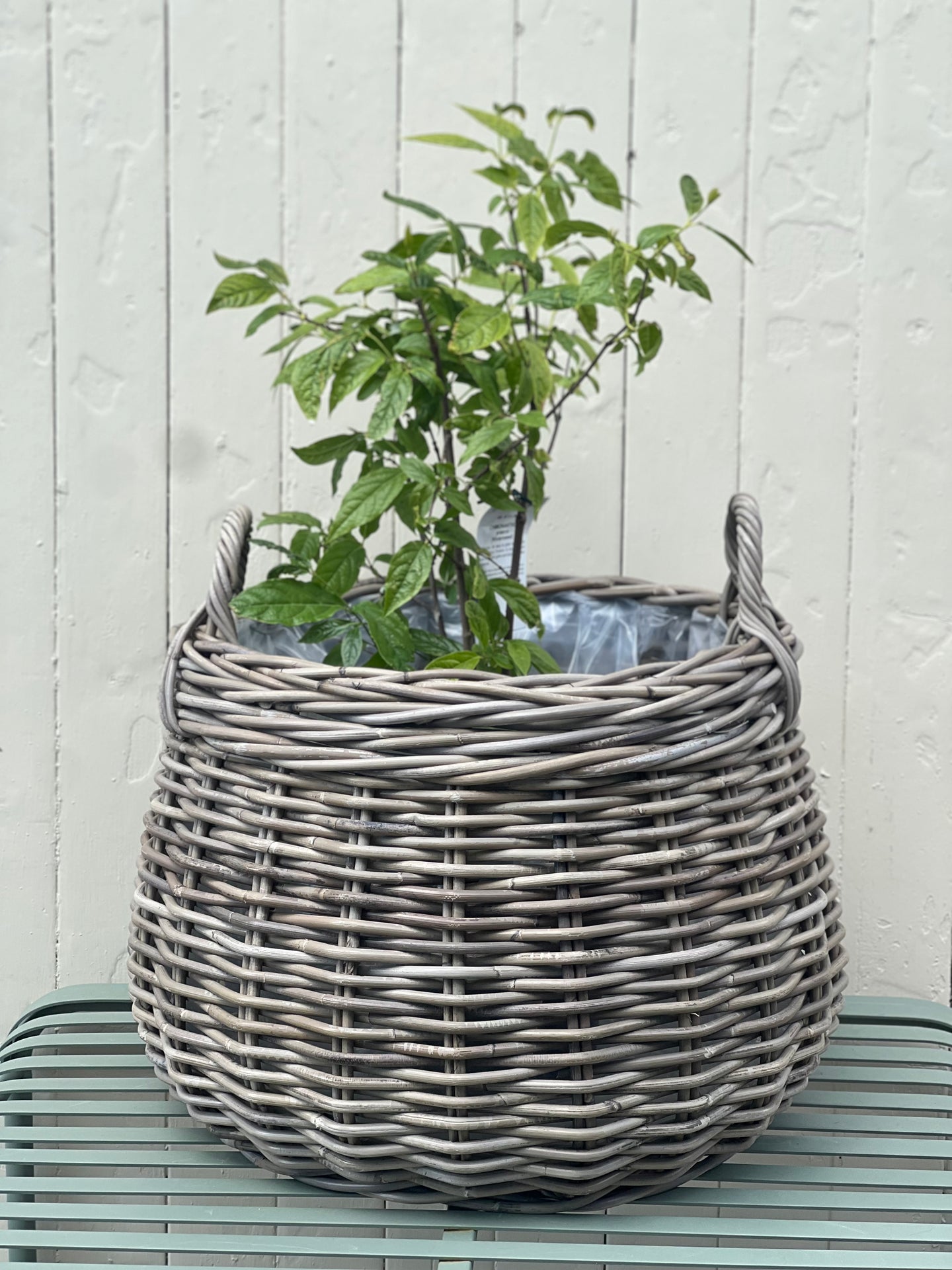 Medium Round Bottom Lined Planter Basket