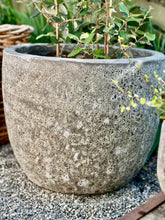 Load image into Gallery viewer, Extra Large Wide Mouth Glazed Pot
