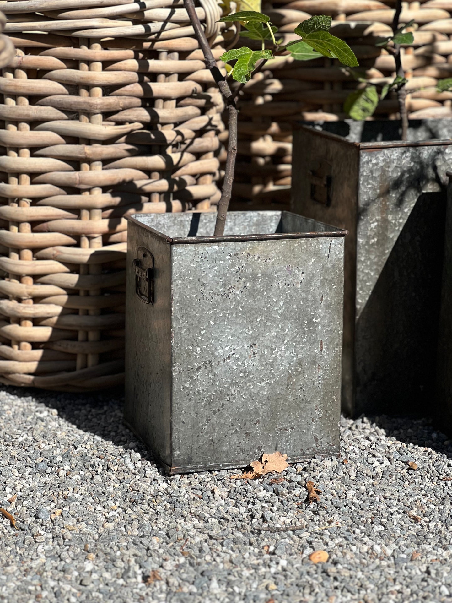 Small Tall Square Iron Planter