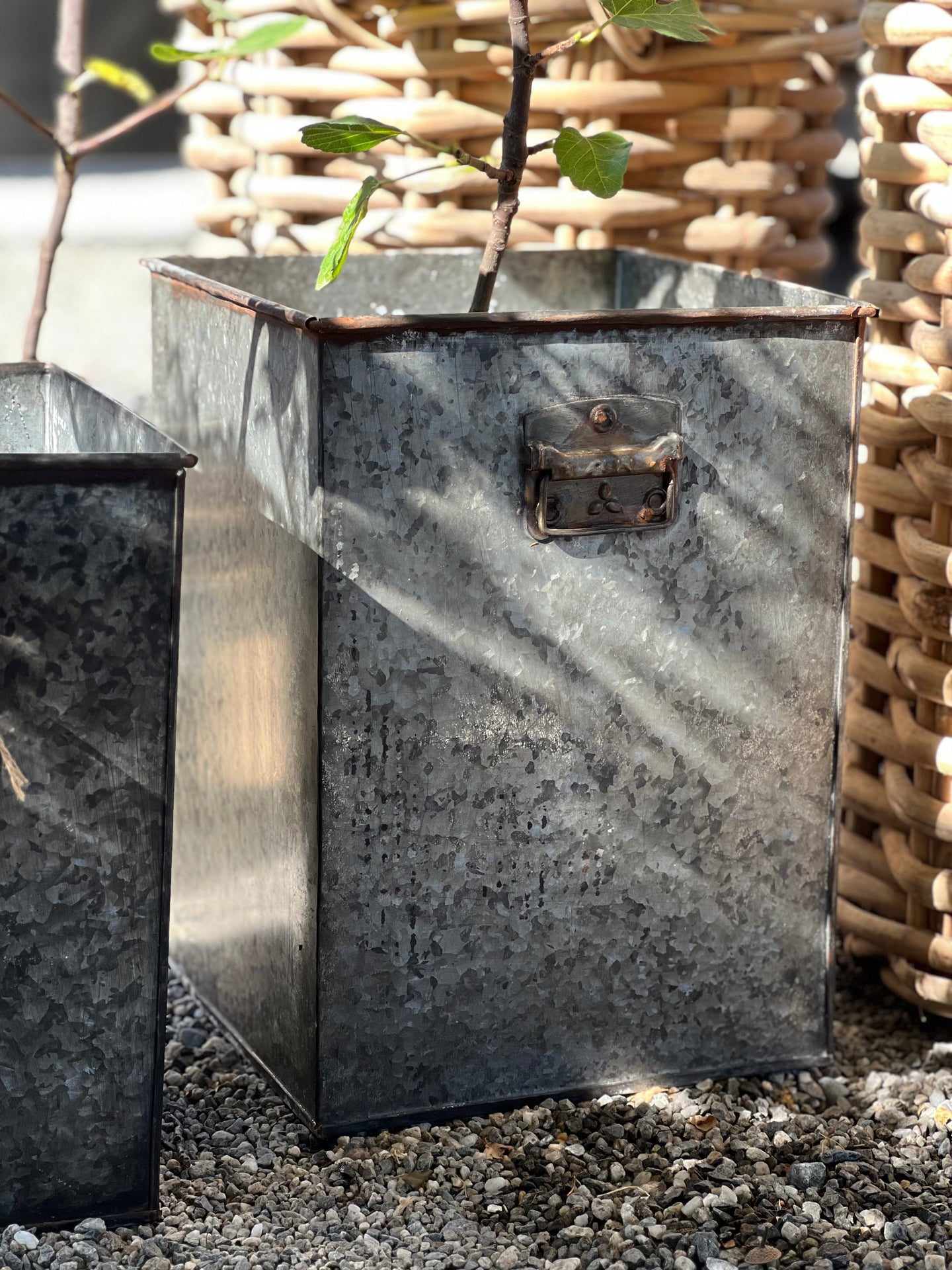 Large Tall Square Iron Planter