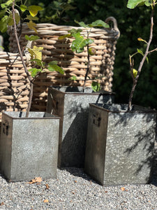 Medium Tall Square Iron Planter