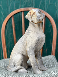'Sir Charles' Sitting Dog