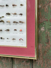 Load image into Gallery viewer, &#39;Nymphs&#39; Fly Fishing Framed Art
