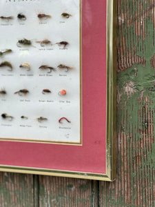 'Nymphs' Fly Fishing Framed Art