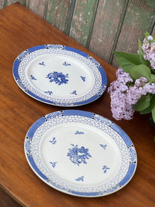 'Juliet' Adams Dinner Plate