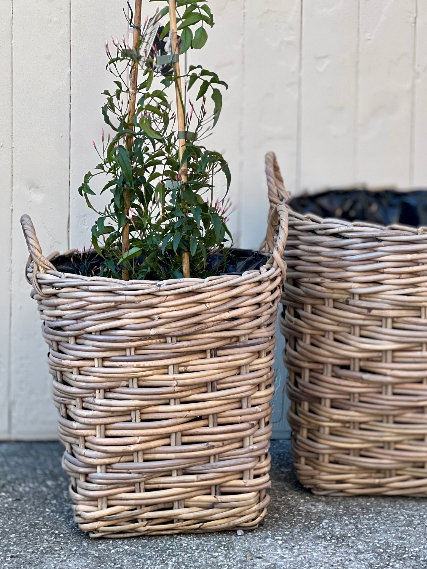 Small Lined Cane Planter Basket