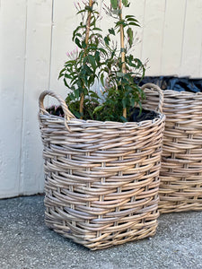 Small Lined Cane Planter Basket