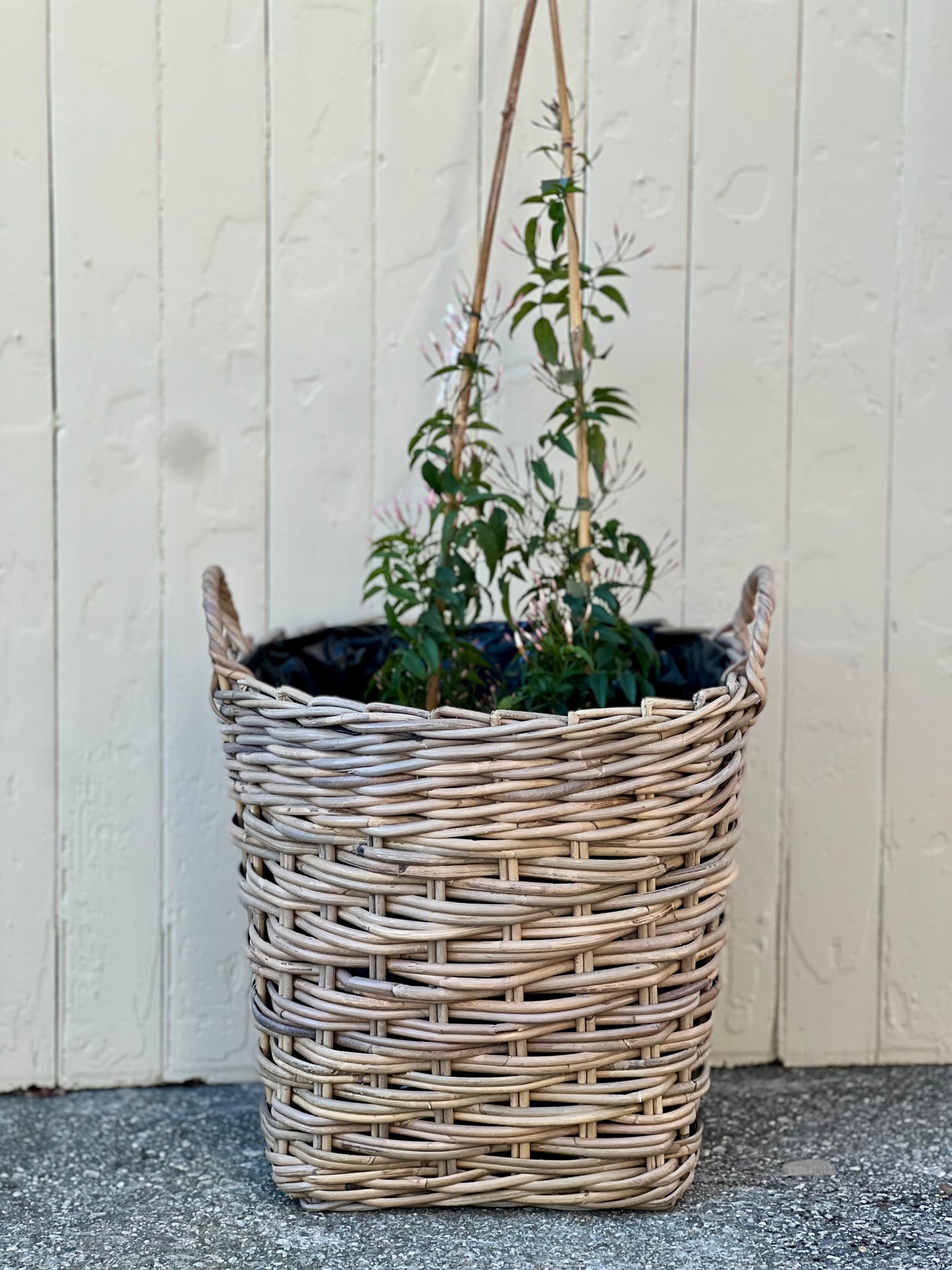 Large Lined Cane Planter Basket