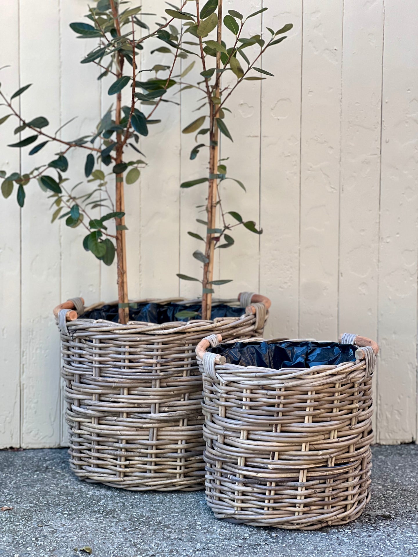Small Wooden Handle Lined Cane Planter Basket