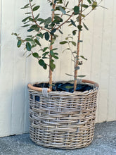 Load image into Gallery viewer, Large Wooden Handle Lined Cane Planter Basket
