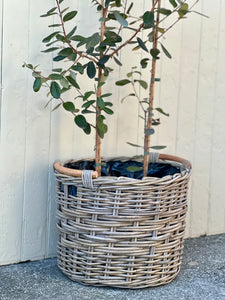 Large Wooden Handle Lined Cane Planter Basket