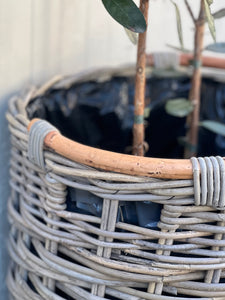 Large Wooden Handle Lined Cane Planter Basket