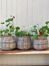 Load image into Gallery viewer, Round Unlined Cane Planter Basket
