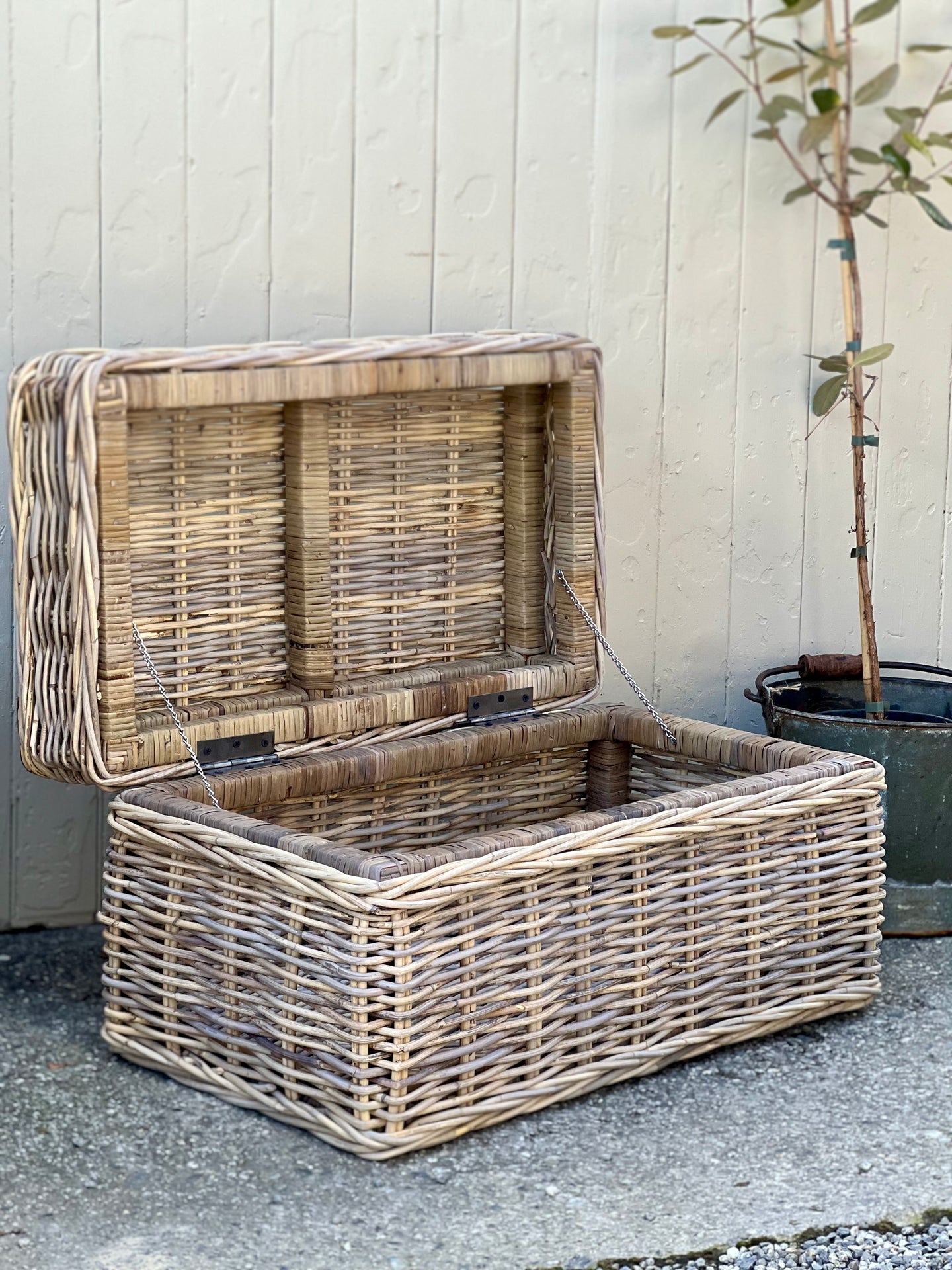 *New* Small Cane Trunk