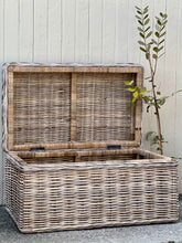 Load image into Gallery viewer, *New* Medium Cane Trunk
