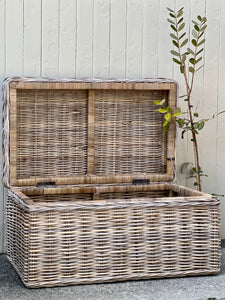*New* Medium Cane Trunk