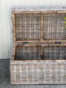 *New* Medium Cane Trunk