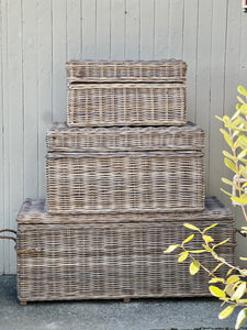 *New* Medium Cane Trunk
