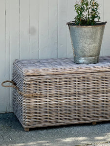 Medium Rope Handle Cane Trunk